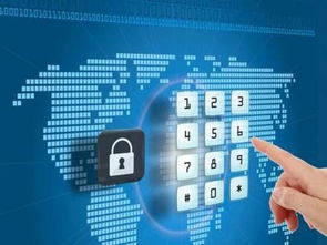 成都高新首创“自贸通” 融资、降费与网络技术服务一体化解决方案