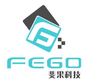 斐果科技 驱动数字化未来的存储解决方案专家